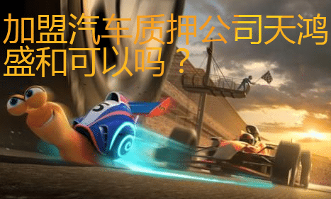 加盟汽车质押公司天鸿盛和可以吗？